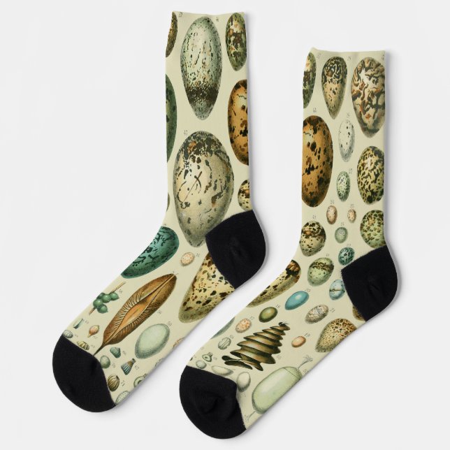 Vintage Bird Eggs French Fish Egg Art Socks (Left)