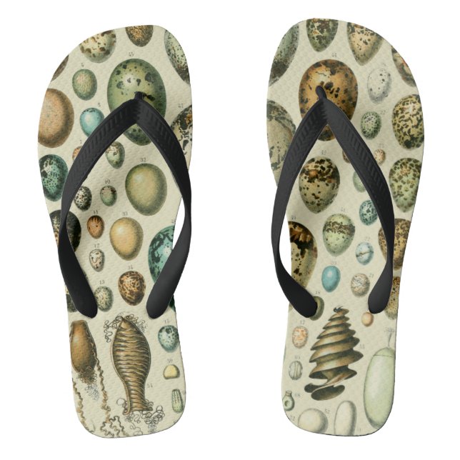 Vintage Bird Eggs French Fish Egg Art Thongs (Footbed)