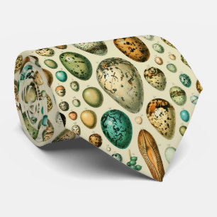 Vintage Bird Eggs French Fish Egg Art Tie