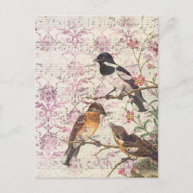 Vintage Bird Ephemera Decoupage Postcard (Front)