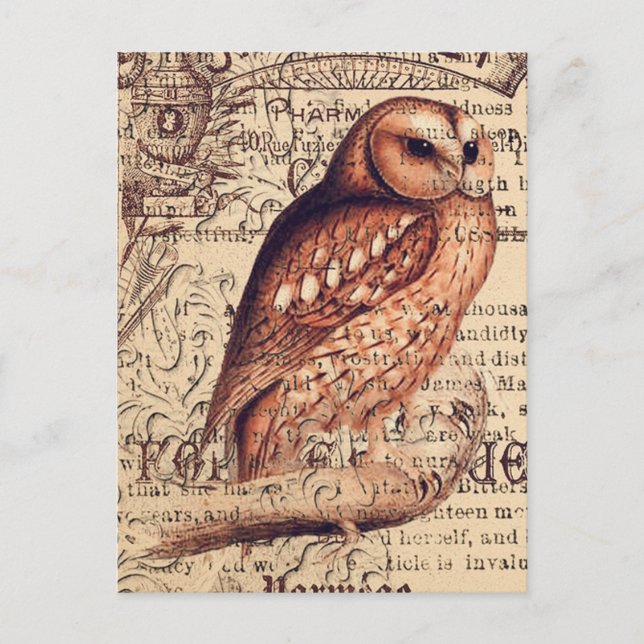 Vintage Bird Ephemera Decoupage Postcard | Antique (Front)