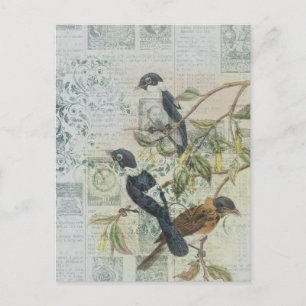 Vintage Bird Ephemera Decoupage Postcard   Nature