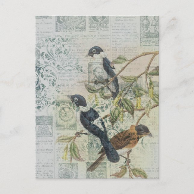Vintage Bird Ephemera Decoupage Postcard | Nature (Front)