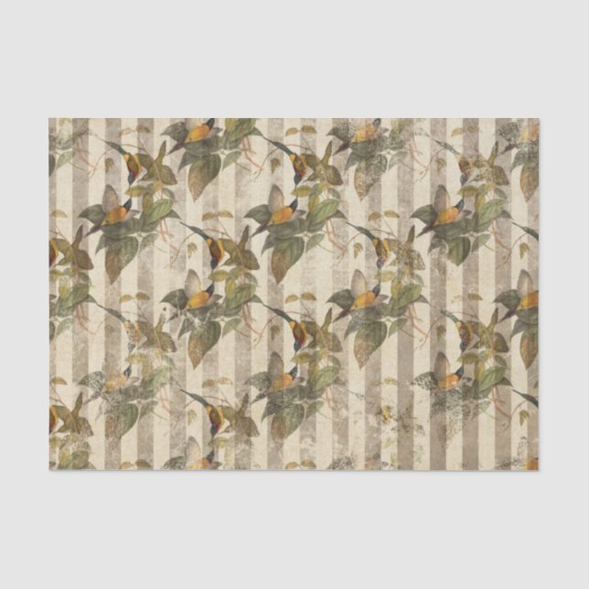 Vintage Bird Ephemera Decoupage tissue paper (Front)