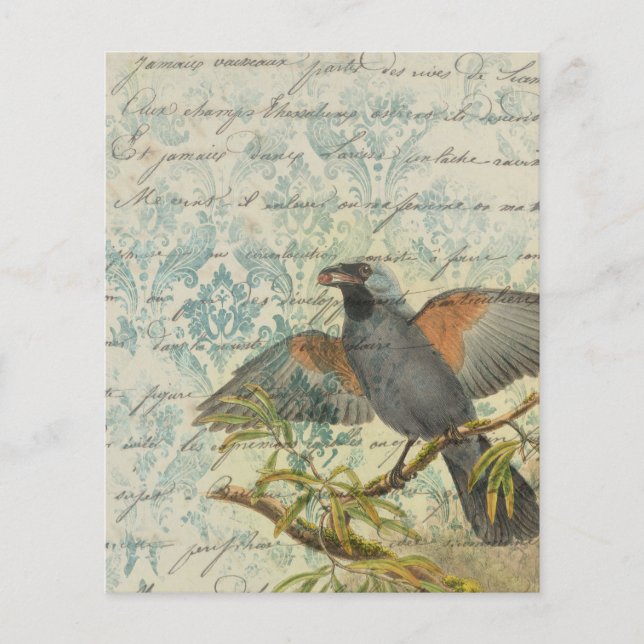 Vintage Bird Ephemera Scrapbook Paper Sheet  (Front)