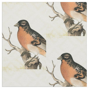 Vintage Bird Fabric