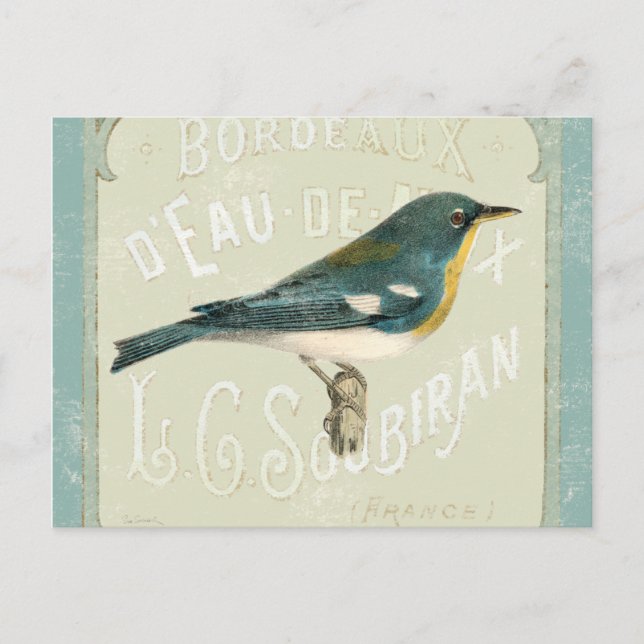 Vintage Bird Facing the Right Postcard (Front)