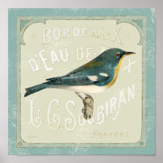 Vintage Bird Facing the Right Poster (Front)