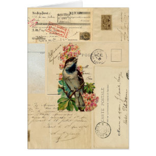 Vintage Bird Flowers French Postcards Card