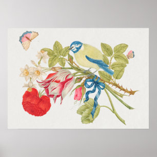 Vintage Bird Illustration Poster