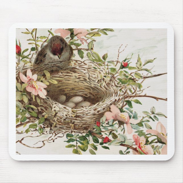 Vintage Bird in Nest Animal Print Mouse Pad (Front)