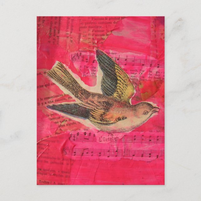 Vintage Bird Mixed Media Collage Hot Pink  Postcard (Front)