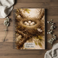 Vintage Bird Nest with Eggs