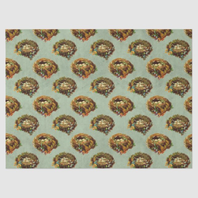 Vintage Bird Nests and Eggs Decoupage Tissue Paper (Front)