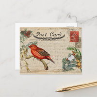 Vintage Bird Postcard