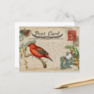 Vintage Bird Postcard