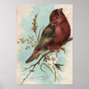 Vintage Bird Print