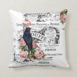 Vintage Bird, Roses, Paris Pillow