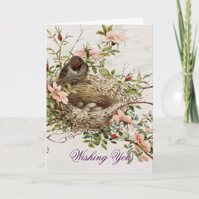Vintage Bird With Nest Holiday Card (Front)