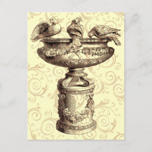 Vintage Birdbath Postcard