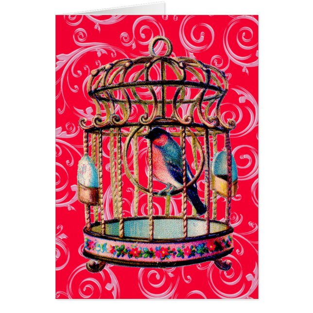 Vintage Birdcage (Front)