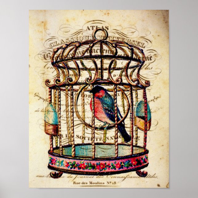 Vintage Birdcage French Paper Art Print (Front)
