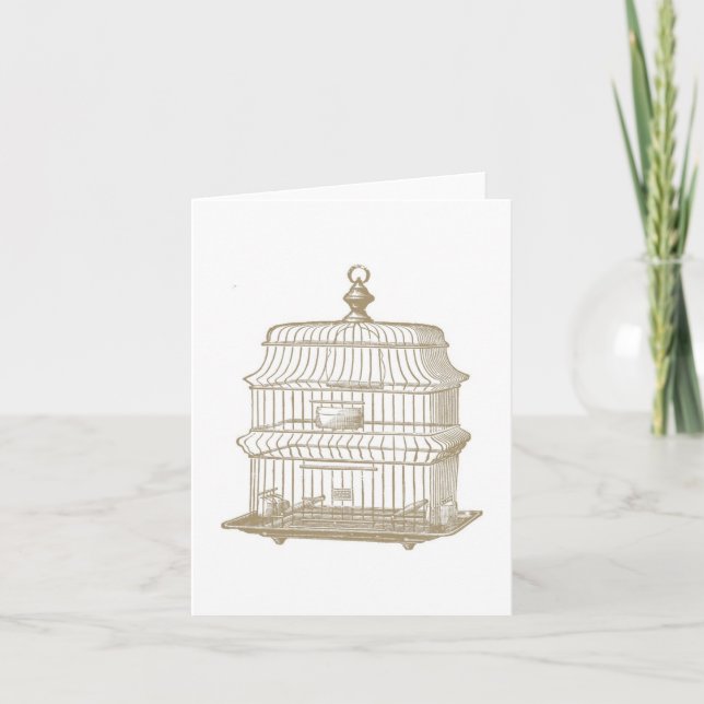 Vintage Birdcage...notecard Card (Front)