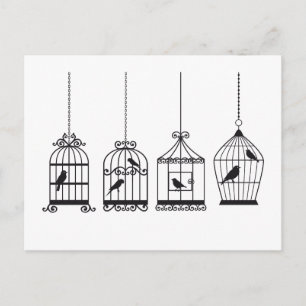 Vintage birdcages with cute birds postcard