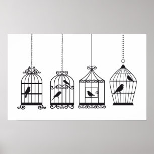 Vintage birdcages with cute birds poster