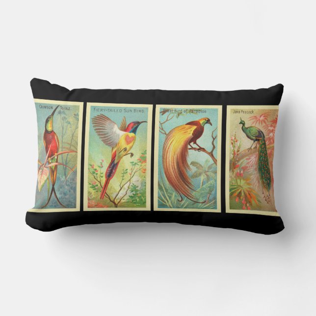 Vintage Birds 2 Lumbar Cushion (Front)