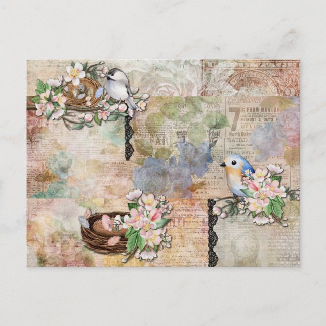 Vintage Birds and Ephemera Collage Postcard (Front)