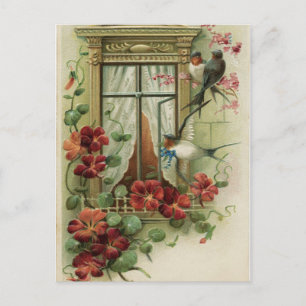 Vintage Birds By the Window Postcard