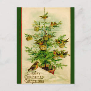 Vintage Birds Christmas Cheery Greeting Postcard