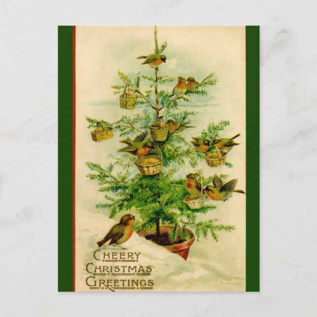 Vintage Birds Christmas Cheery Greeting Postcard (Front)