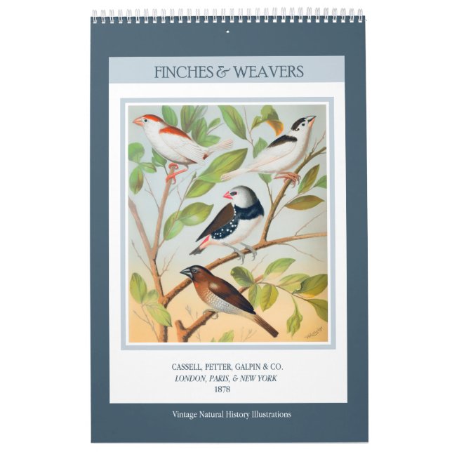 Vintage Birds - Finches and Weavers 2026 Calendar (Cover)