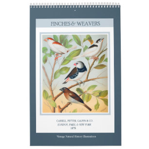 Vintage Birds - Finches and Weavers 2027 Calendar