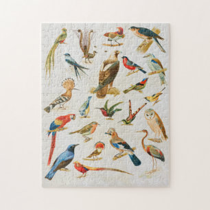 Vintage Birds Illustration Birding Lover Gift Jigsaw Puzzle