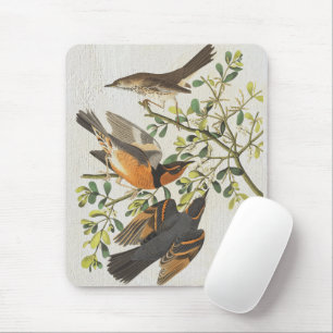 Vintage Birds Illustration Birdwatching Lover Gift Mouse Pad