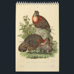 Vintage Birds Illustration Collection Calendar<br><div class="desc">Vintage Birds Illustration Collection</div>