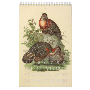 Vintage Birds Illustration Collection Calendar