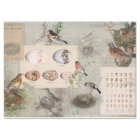 Vintage Birds Nest Eggs Script Ephemera Decoupage