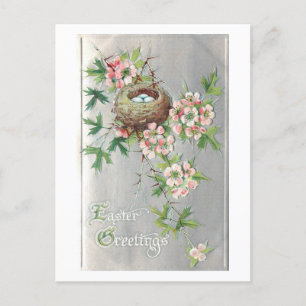 Vintage Bird's Nest, Flowers & Easter Greeting Holiday Postcard