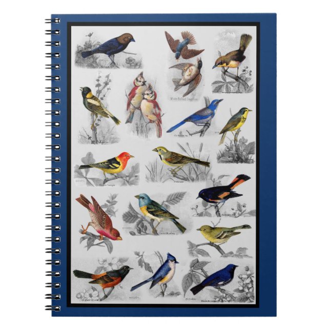 Vintage Birds Notebook (Front)