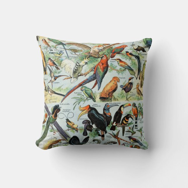Vintage Birds of the World Cushion (Front)