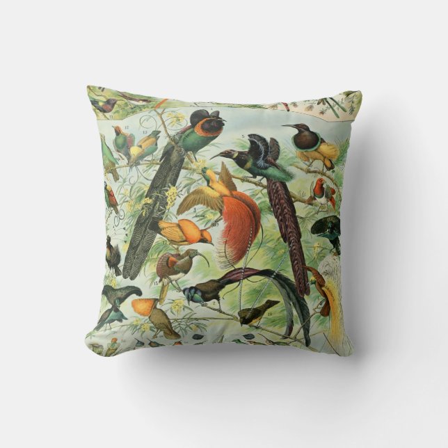 Vintage Birds Old Book Illustration Art Animals Cushion (Front)
