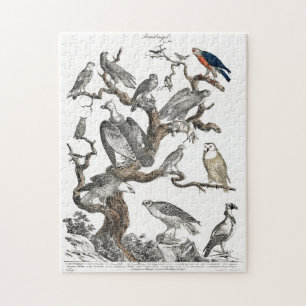 Vintage Birds Old Book Illustration Art Jigsaw Puzzle