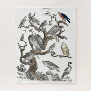 Vintage Birds Old Book Illustration Art Jigsaw Puzzle
