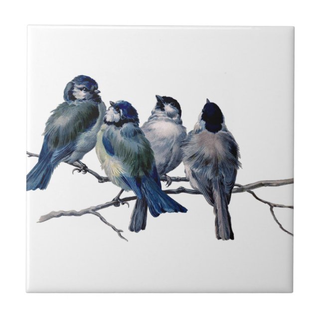 Vintage Birds on a Branch Tile (Front)