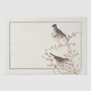 Vintage Birds on Flowering Branch Silver Border Tissue Paper