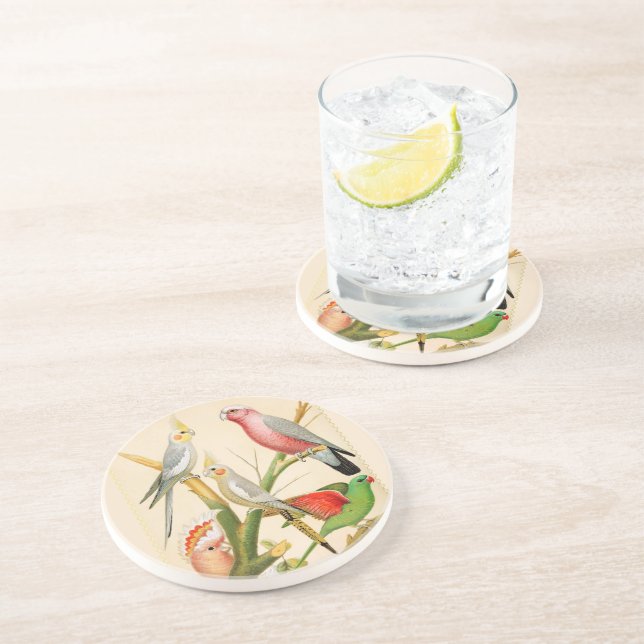Vintage Birds- parakeets, Tropical birds Coaster (Side)